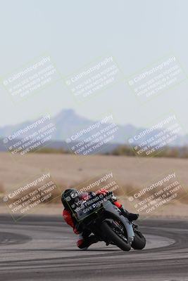 media/Nov-30-2025-TrackXperience (Sun) [[c0061d280f]]/2-Level 2/Session 6 Turn 4 Tree of Life/